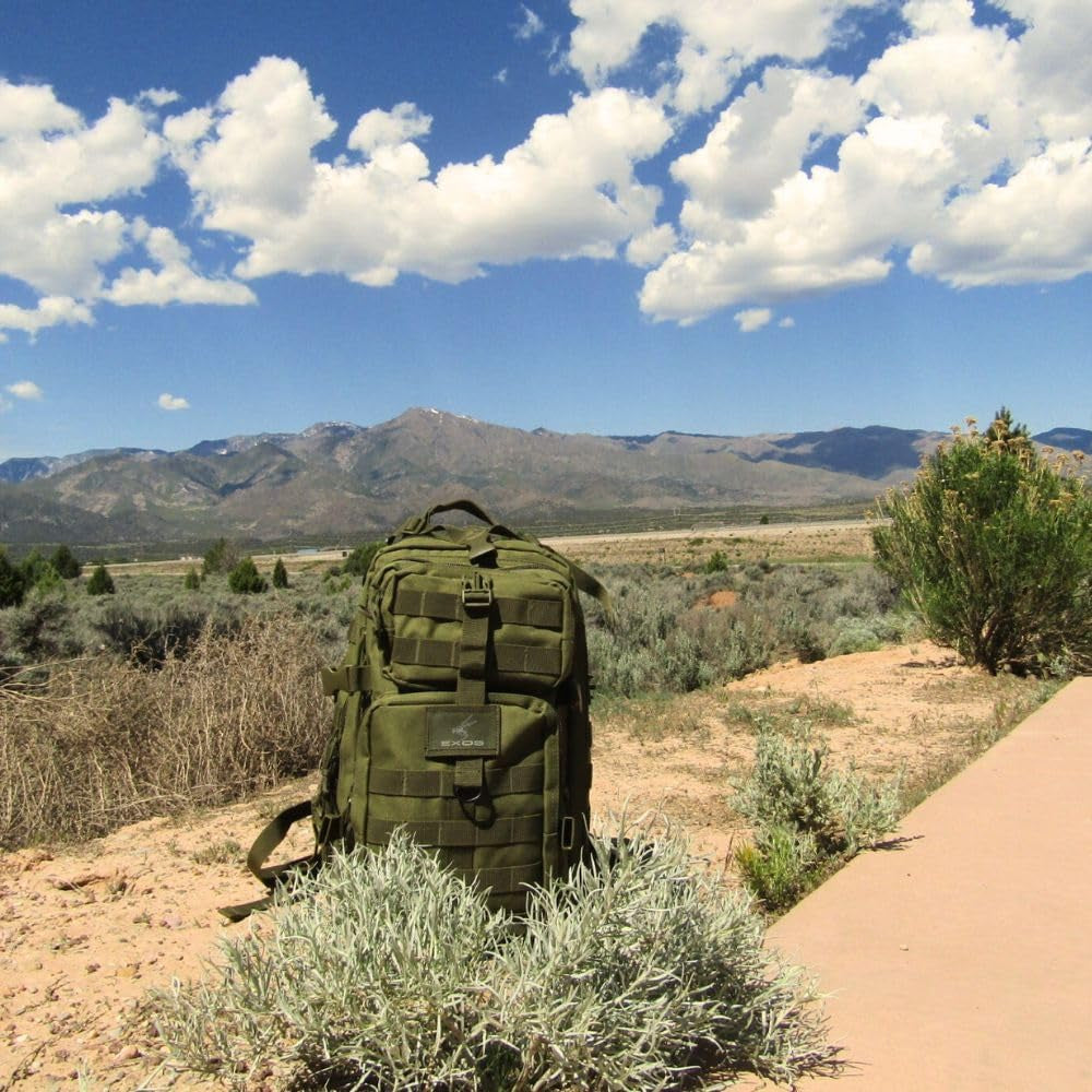 Bravo 34L Travel and Work Backpack for Men, Olive Drab