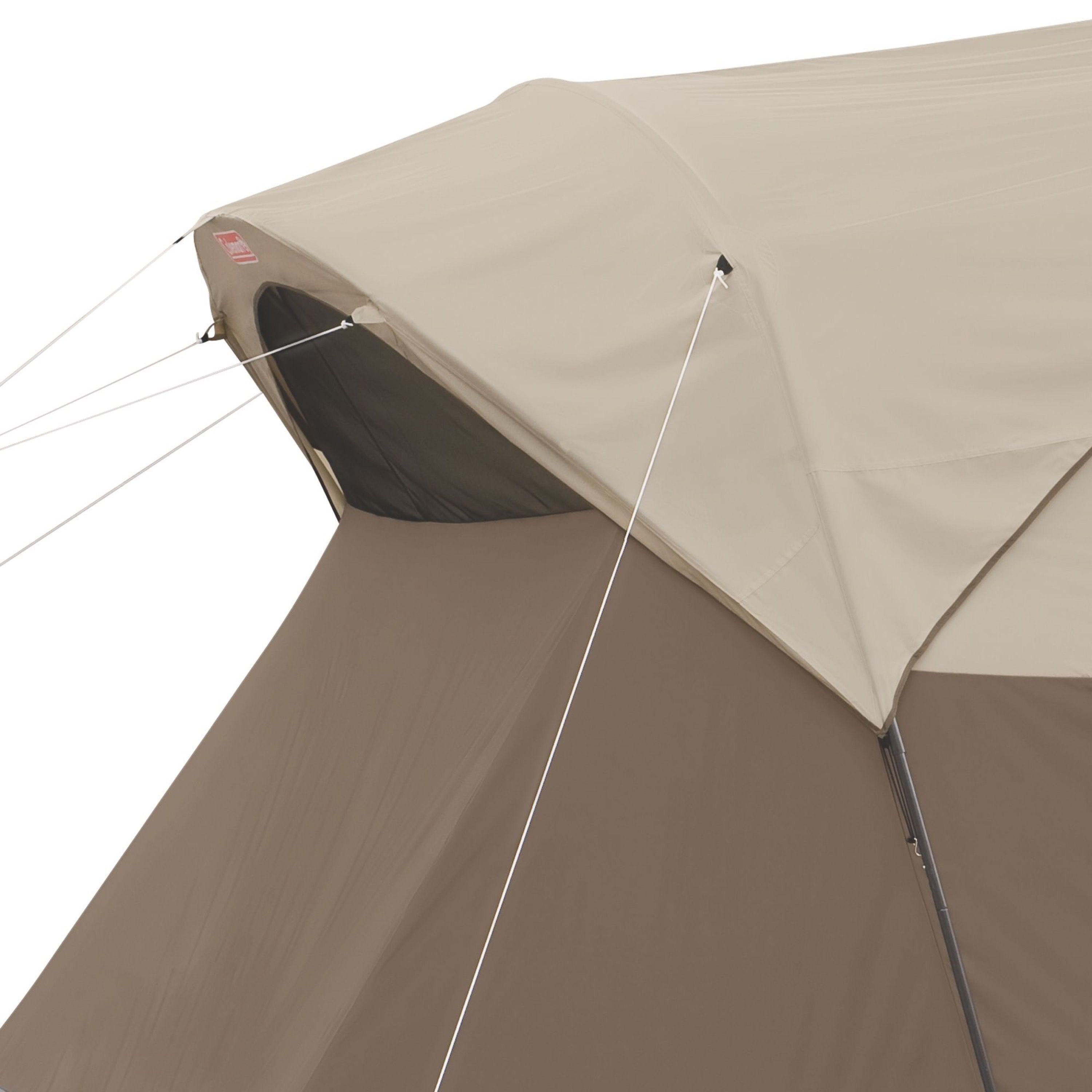 Large Capacity Weather Master Dome Camping Tent with Hinged Door for 10 People