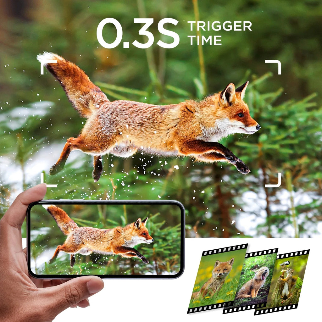 2K 36MP Trail Camera with Infrared Night Vision and Wide Angle Lens - Waterproof, Motion Activated Wildlife Scouting Camera