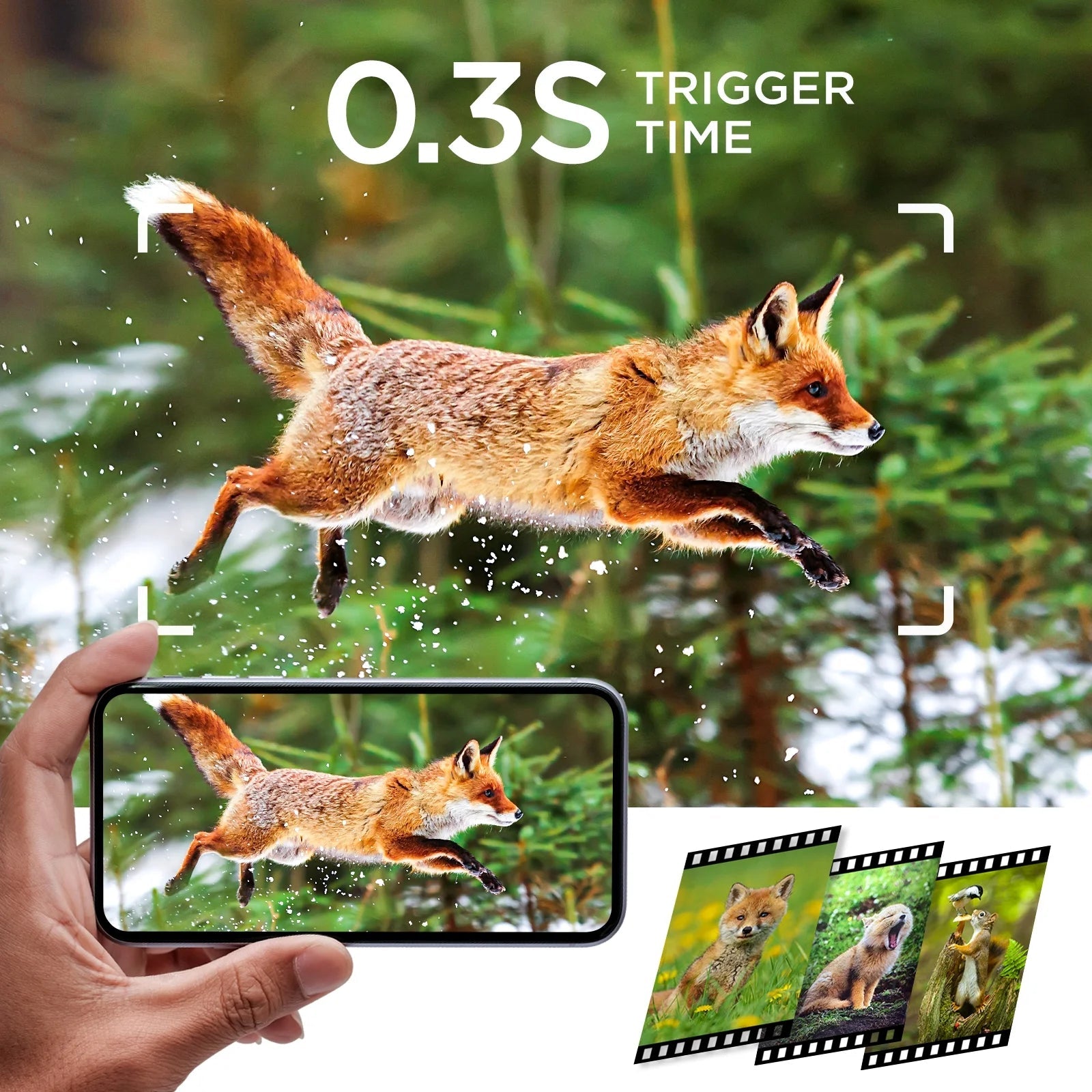 2K 36MP Trail Camera with Infrared Night Vision and Wide Angle Lens - Waterproof, Motion Activated Wildlife Scouting Camera
