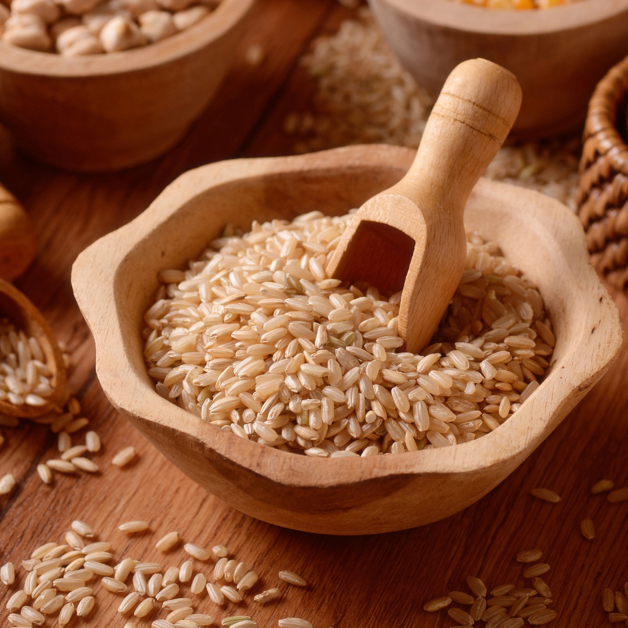 Emergency Food Storage Pail - Long Grain Brown Rice