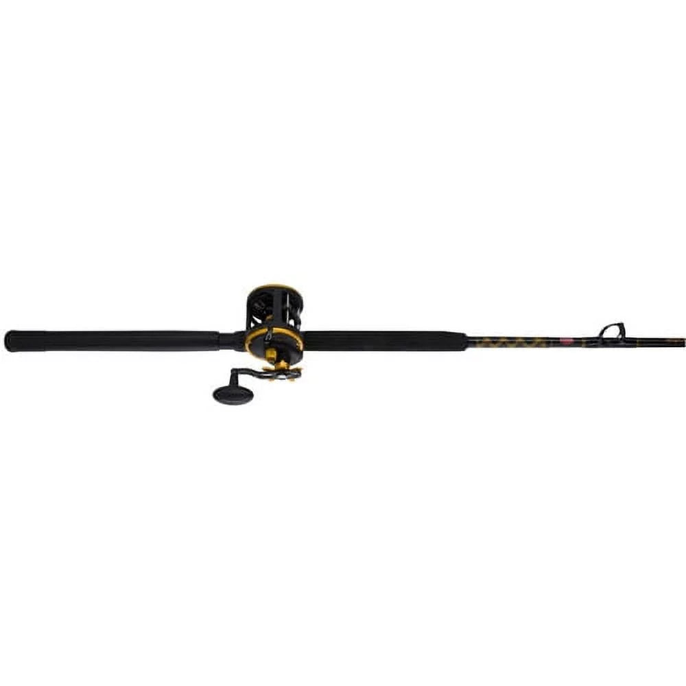 Level Wind Conventional Reel and Fishing Rod Combo