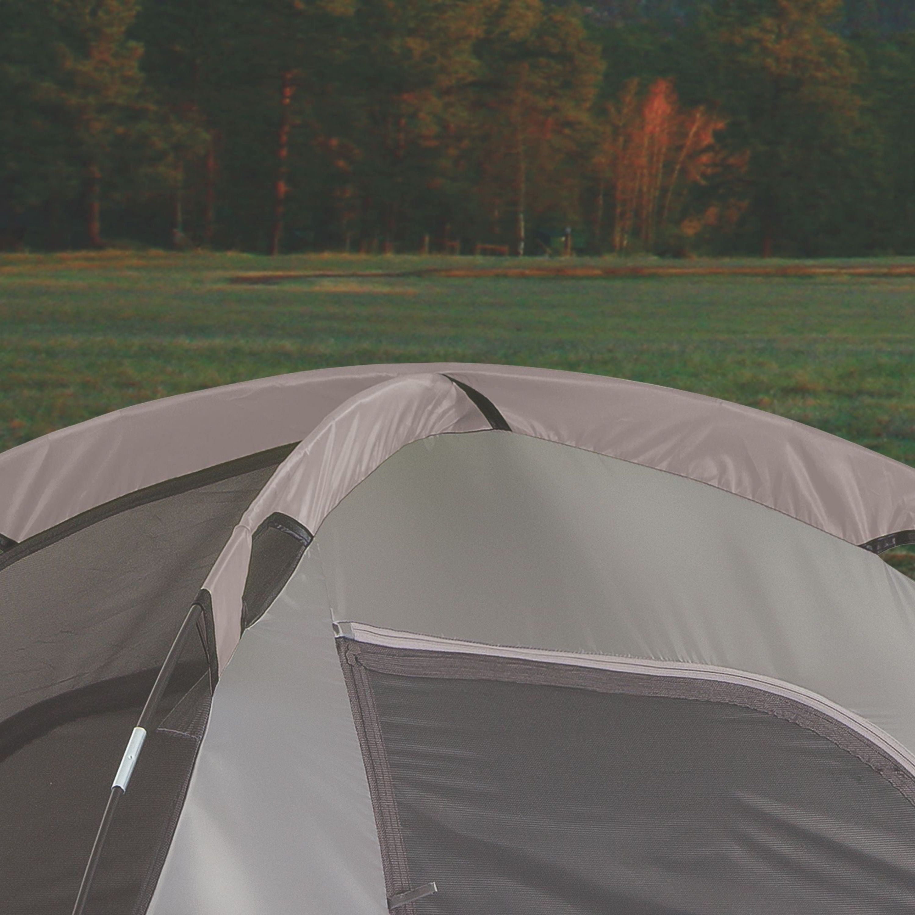 Large Capacity Weather Master Dome Camping Tent with Hinged Door for 10 People