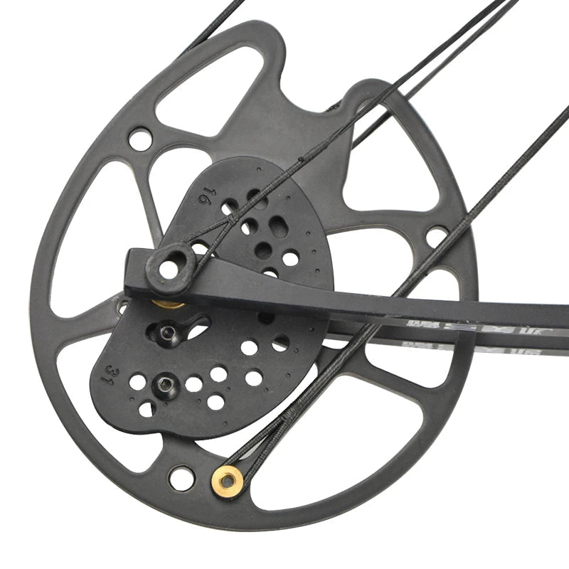 Archery Compound Bow Set with 30-70 lbs Draw Weight, IBO 320 FPS Speed, for Fishing, Shooting, Hunting, and Sports, 16-31 Inch Draw Length