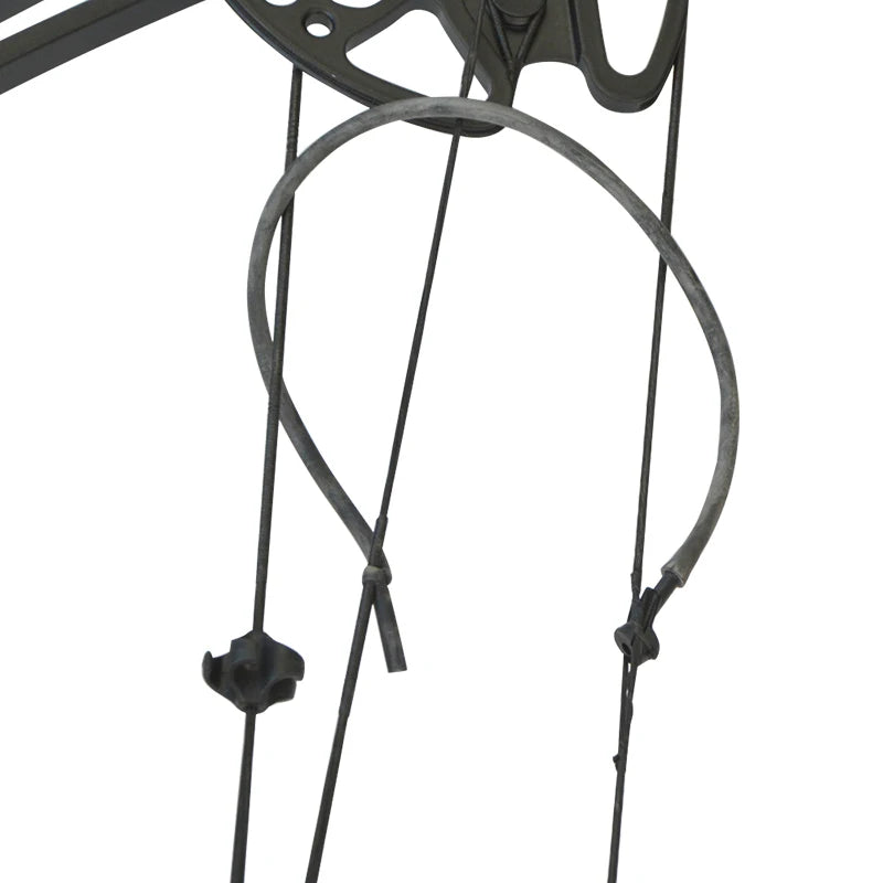 Archery Compound Bow Set with 30-70 lbs Draw Weight, IBO 320 FPS Speed, for Fishing, Shooting, Hunting, and Sports, 16-31 Inch Draw Length
