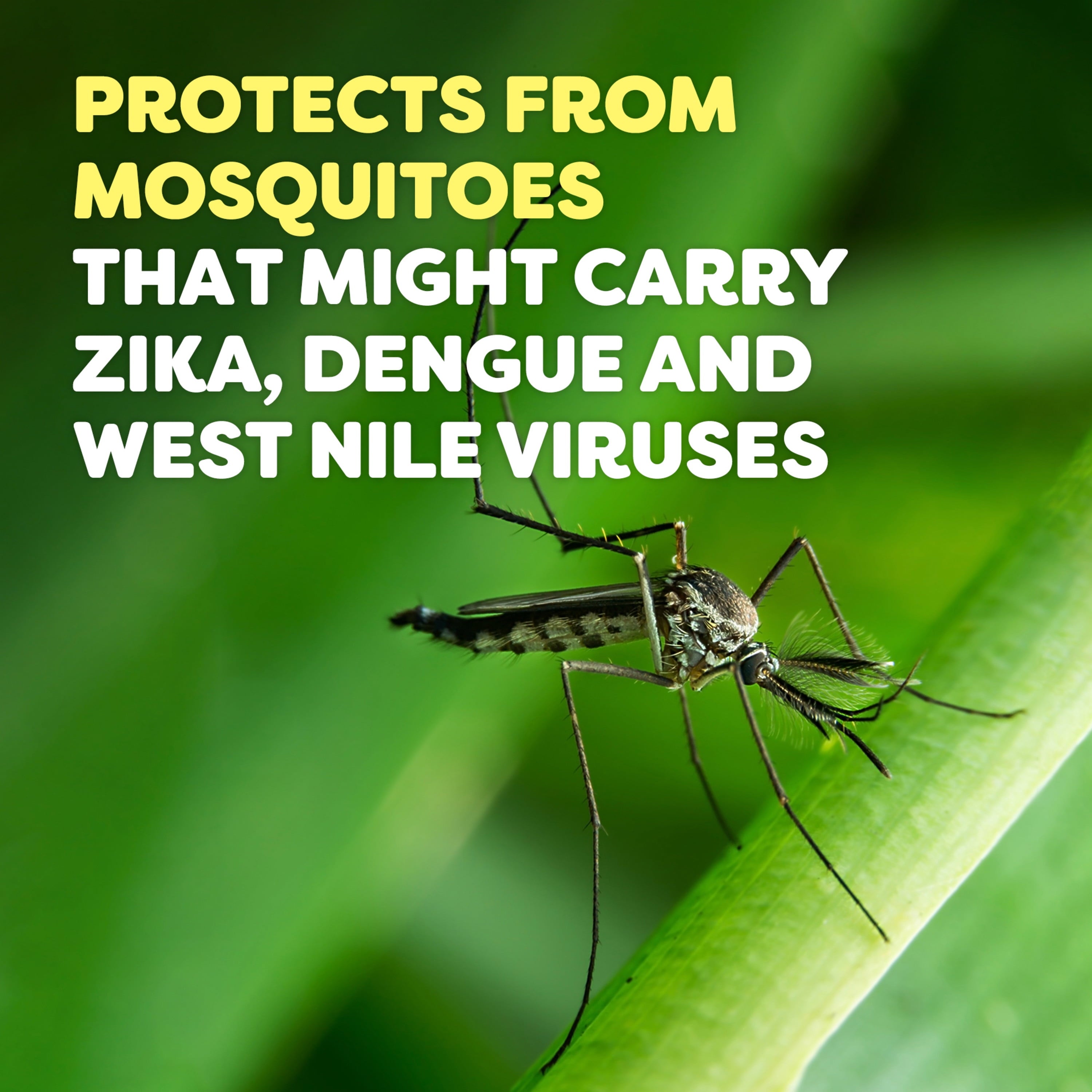 Mosquito and Insect Repellent Spray, 1 oz Pump