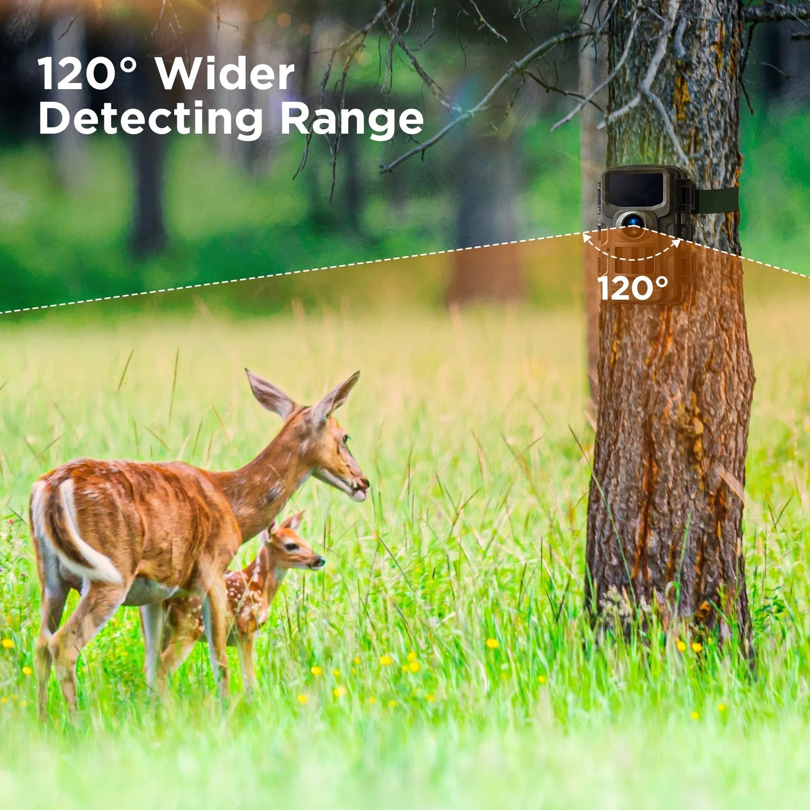 2K 36MP Trail Camera with Infrared Night Vision and Wide Angle Lens - Waterproof, Motion Activated Wildlife Scouting Camera