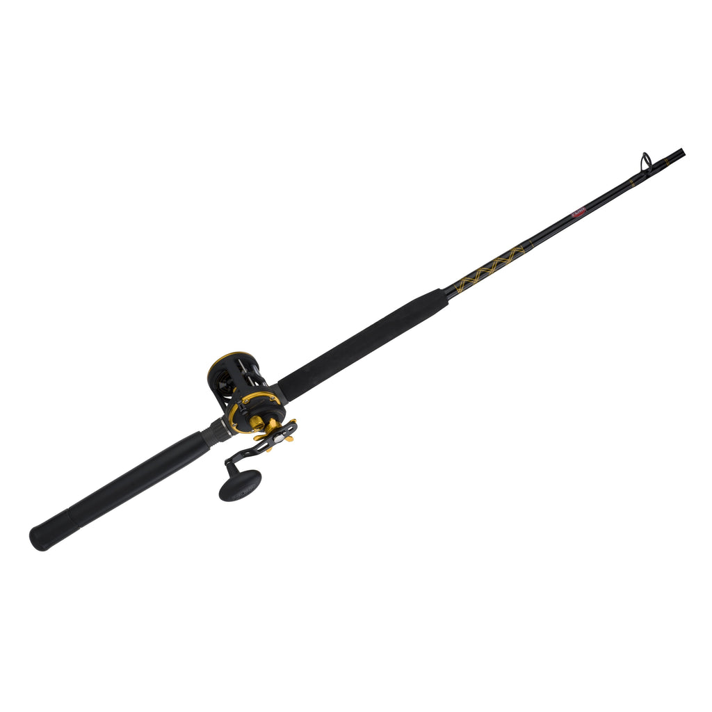 Level Wind Conventional Reel and Fishing Rod Combo