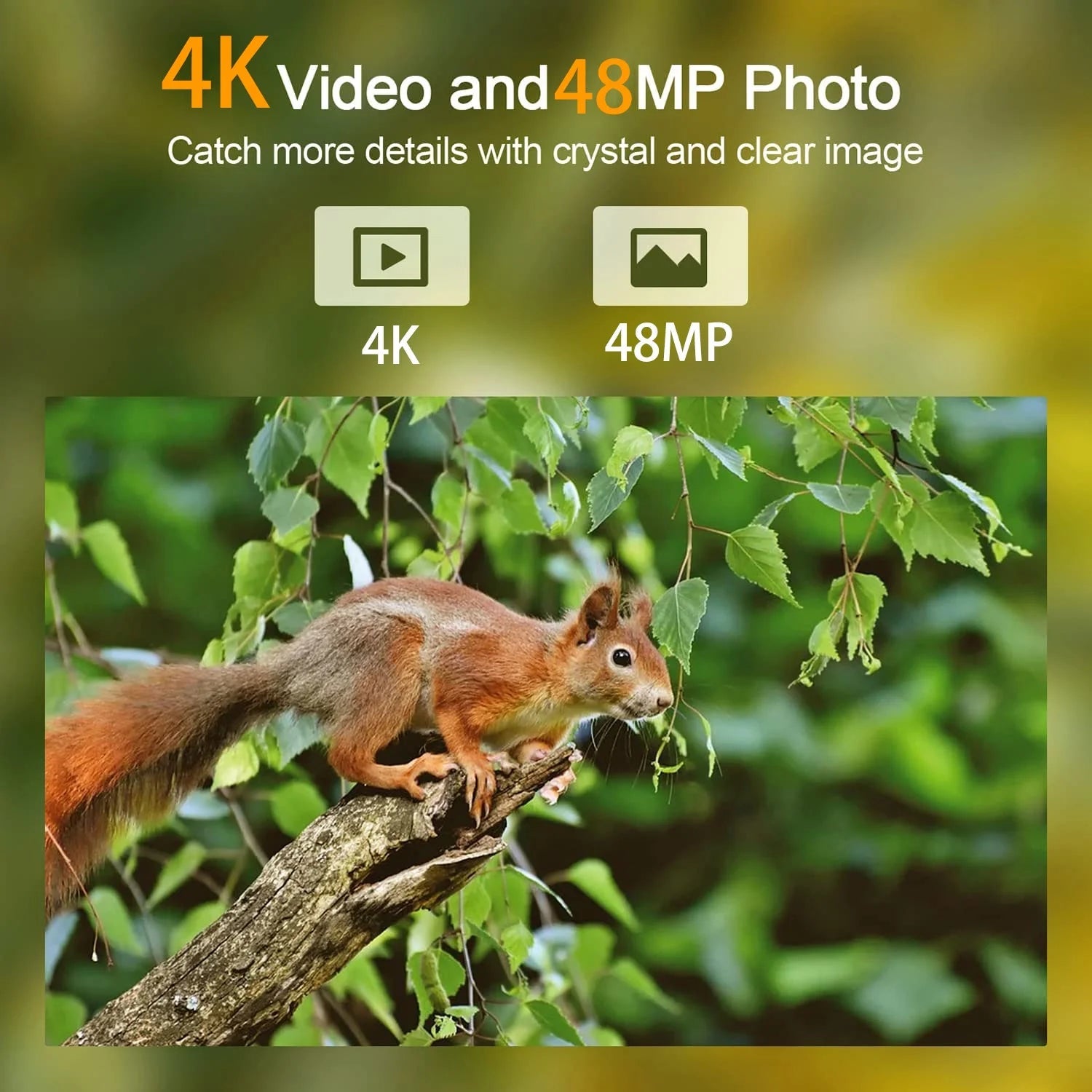 48MP 4K Solar Trail Camera with Night Vision, Motion Activation, and Waterproof Design for Hunting Game