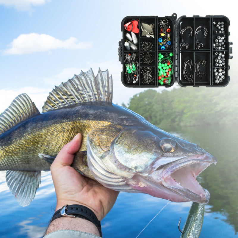 Comprehensive Carp Fishing Library with Essential Accessories