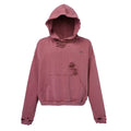 F2CE vintage solid color worn loose wide basic versatile hooded sweatshirt with metal logo collision casual hoodie trend
