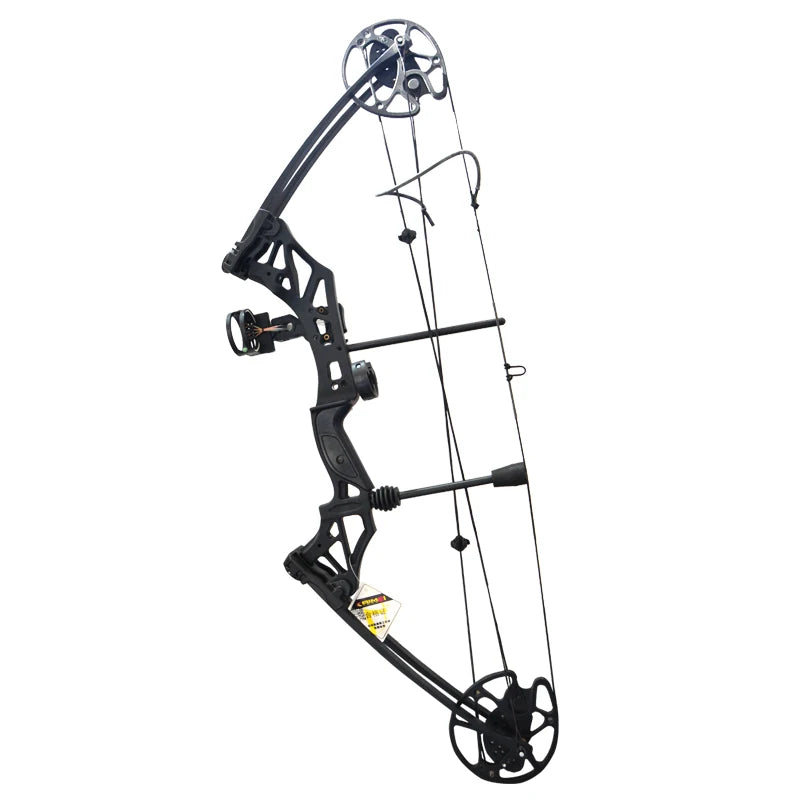 Archery Compound Bow Set with 30-70 lbs Draw Weight, IBO 320 FPS Speed, for Fishing, Shooting, Hunting, and Sports, 16-31 Inch Draw Length