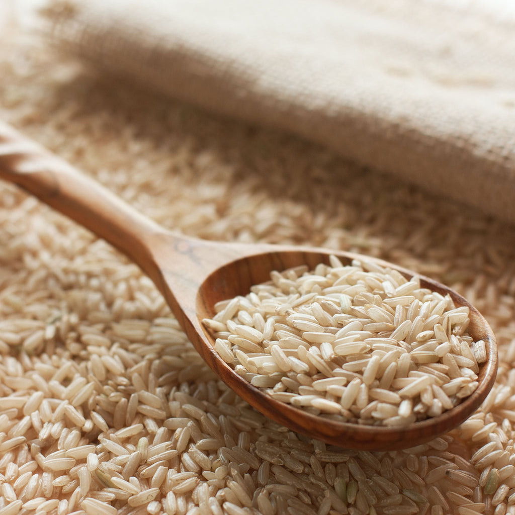 Emergency Food Storage Pail - Long Grain Brown Rice