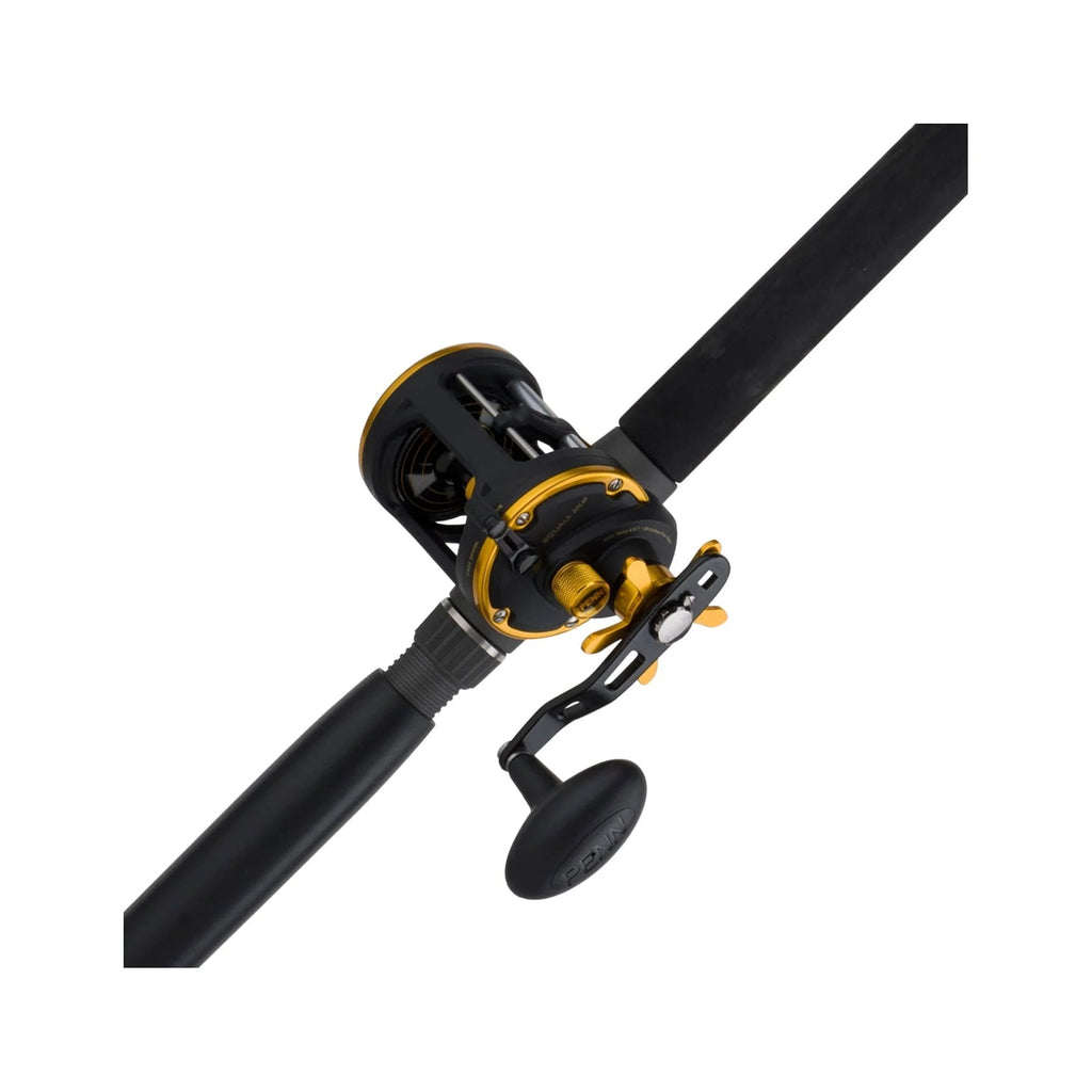 Level Wind Conventional Reel and Fishing Rod Combo