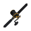 Level Wind Conventional Reel and Fishing Rod Combo