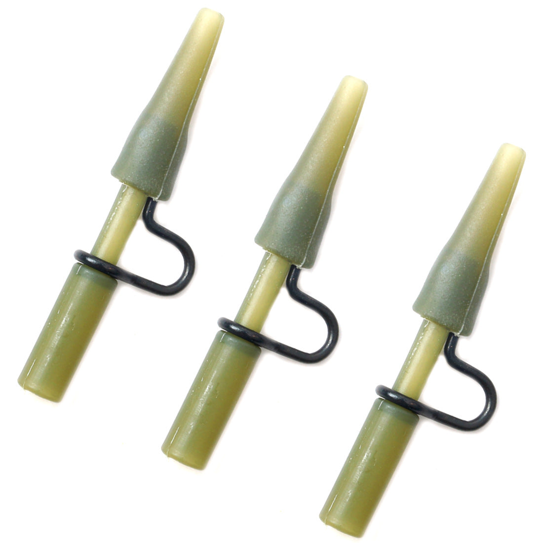 Comprehensive Carp Fishing Library with Essential Accessories